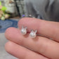 Bunny at Party Stud Earrings